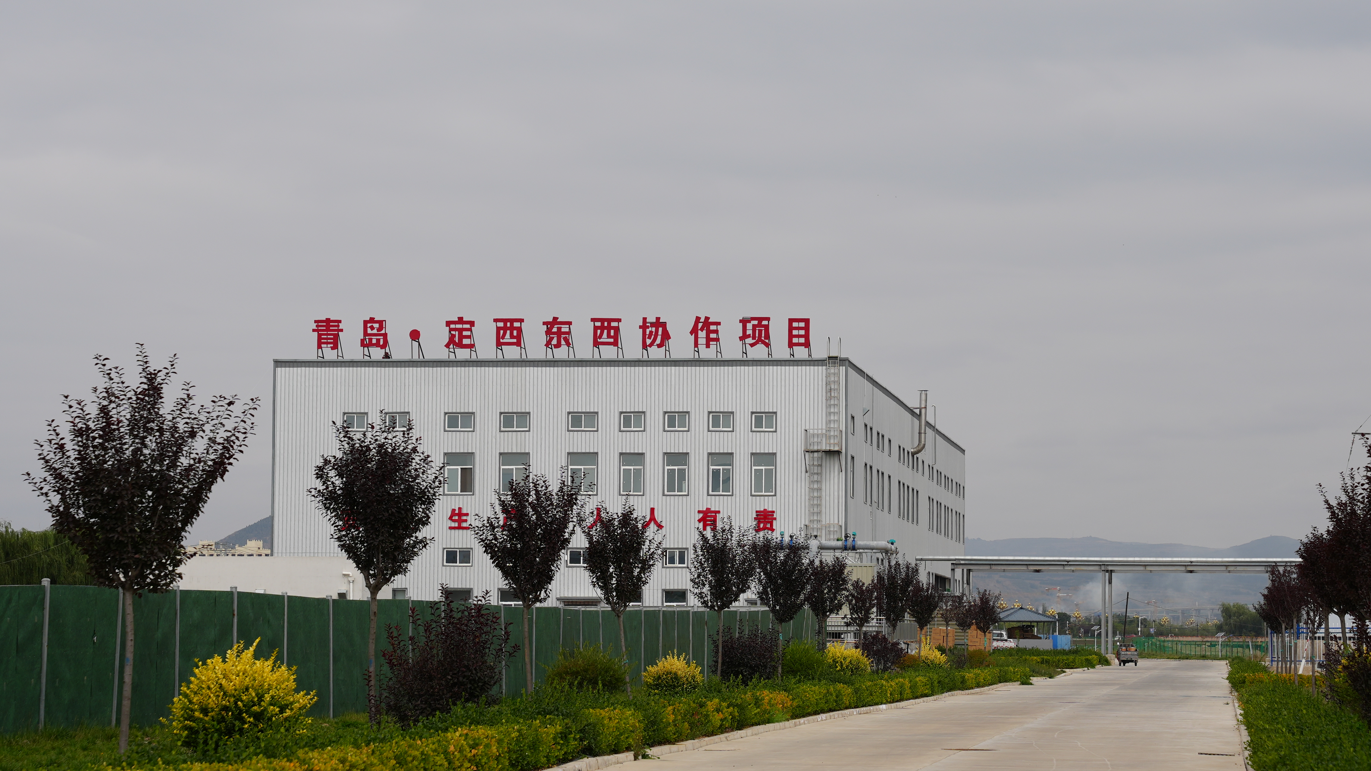 陇西双产融合记:青岛协作“沃土”育出科技花、健康果