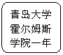 流程图: 可选过程: 青岛大学霍尔姆斯学院一年级