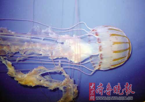 xin_34042000070247609372313.bmp