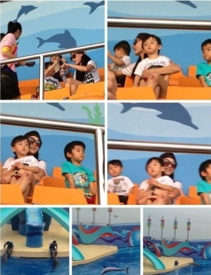 张柏芝两爱子近照曝光 小Q长大与哥哥不同范