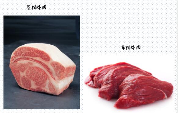 甄选师活动丨魏巍：谷饲好牛肉涮火锅“分秒必争”  