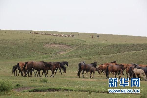 穿越时空的巨变——再看中国西北角