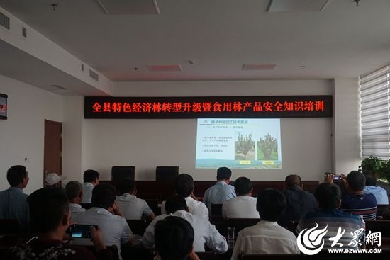 日照市积极发展榛子产业助推特色经济林升级转型