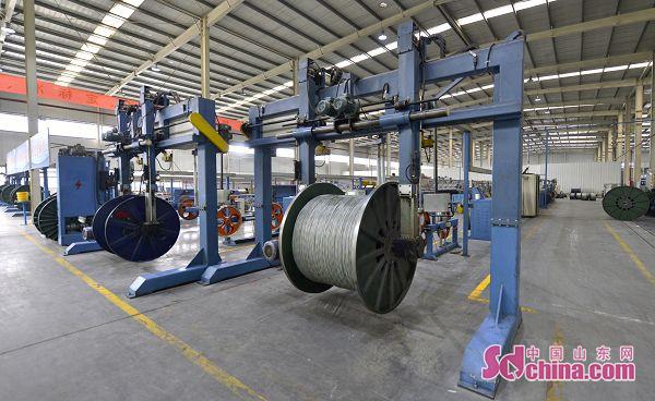 阳谷电缆集团：争做“新旧动能转换”先行者