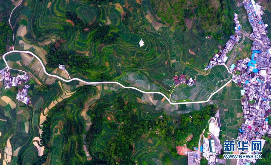 从党的十九大看党始终不渝的奋斗目标