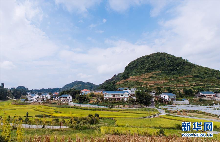 从党的十九大看党始终不渝的奋斗目标