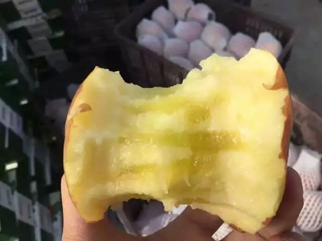 甄选好物|脱单就送“阿克苏冰糖心”苹果 甄选好物|脱单就送“阿克苏冰糖心”苹果