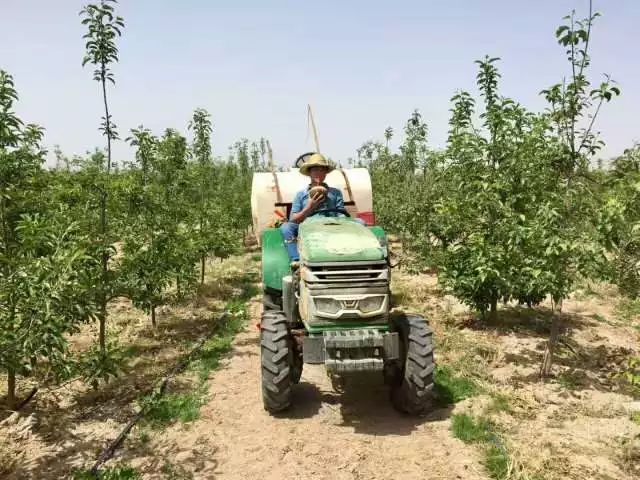 甄选好物|脱单就送“阿克苏冰糖心”苹果 甄选好物|脱单就送“阿克苏冰糖心”苹果