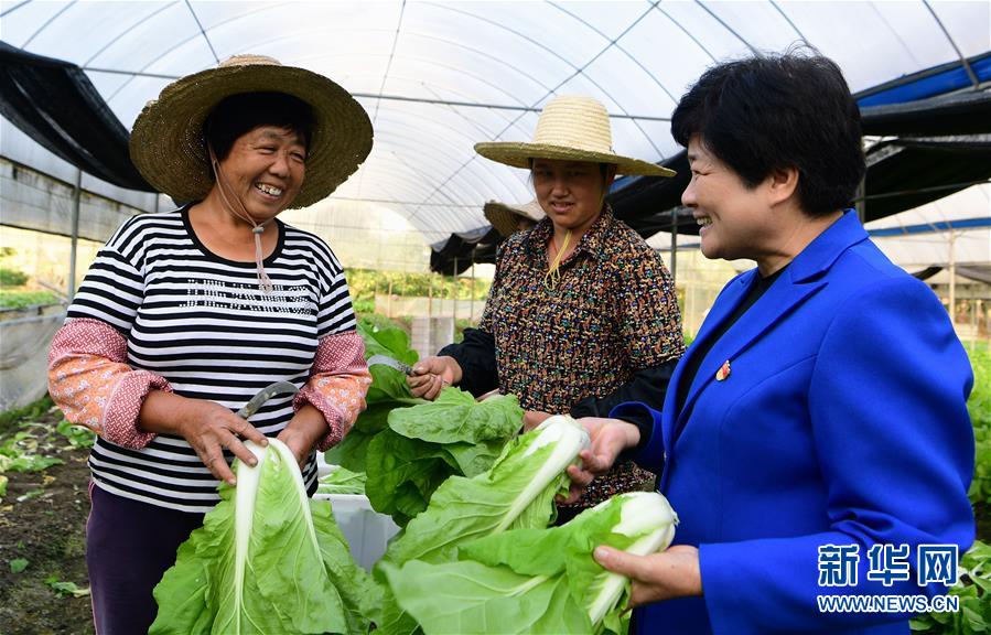 沈腾香:保护好绿水青山 圆乡亲们小康梦 沈腾香:保护好绿水青山 圆乡亲们小康梦