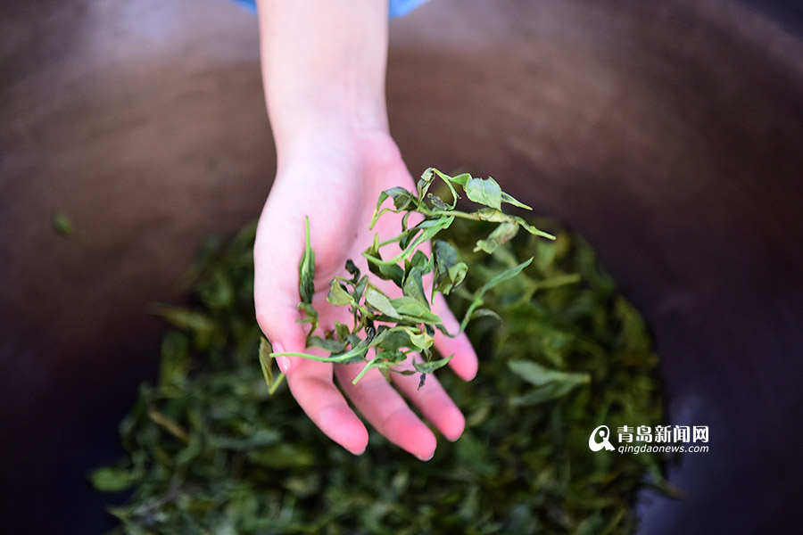 【新青年】90后茶叶掌门:筹百万建茶文化空间