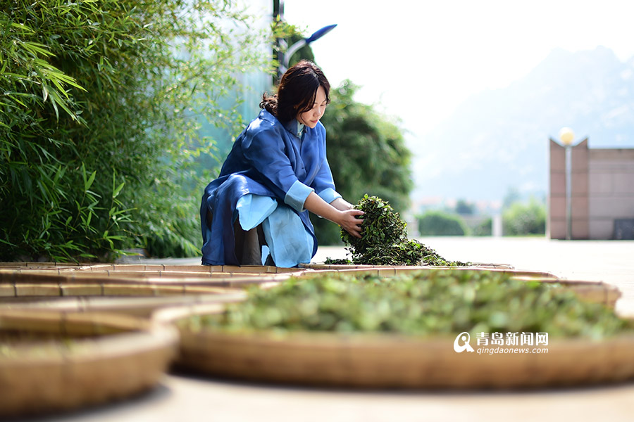 【新青年】90后茶叶掌门:筹百万建茶文化空间