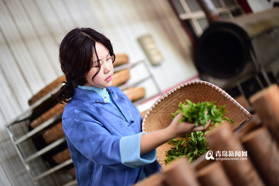 【新青年】90后茶叶掌门:筹百万建茶文化空间