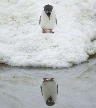 欧芭莎Eubazaar化妆品加盟店,更好的满足女性