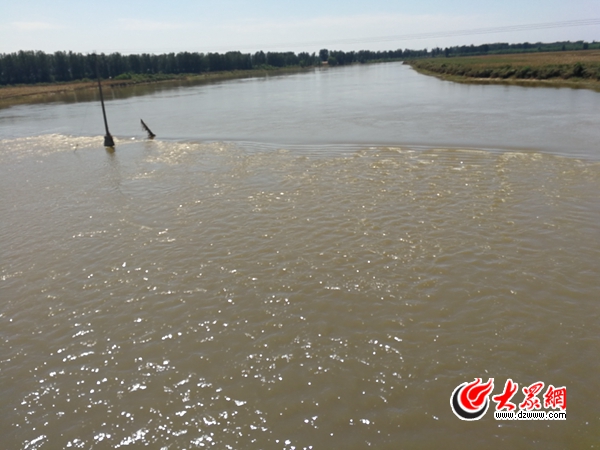 洪峰未到寿光 弥河下游水位已涨20厘米