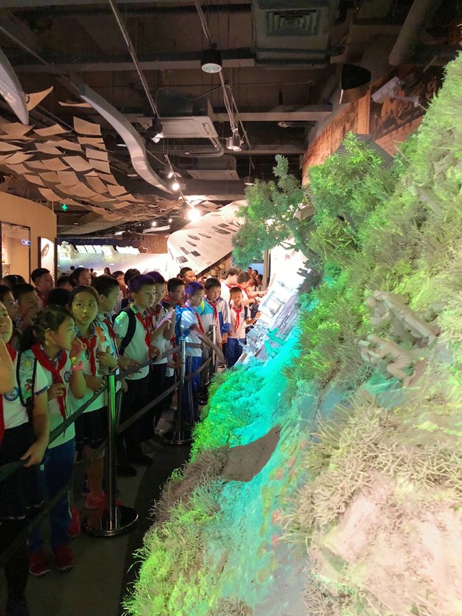 青岛电影博物馆开启研学季 打造影视特色研学基地