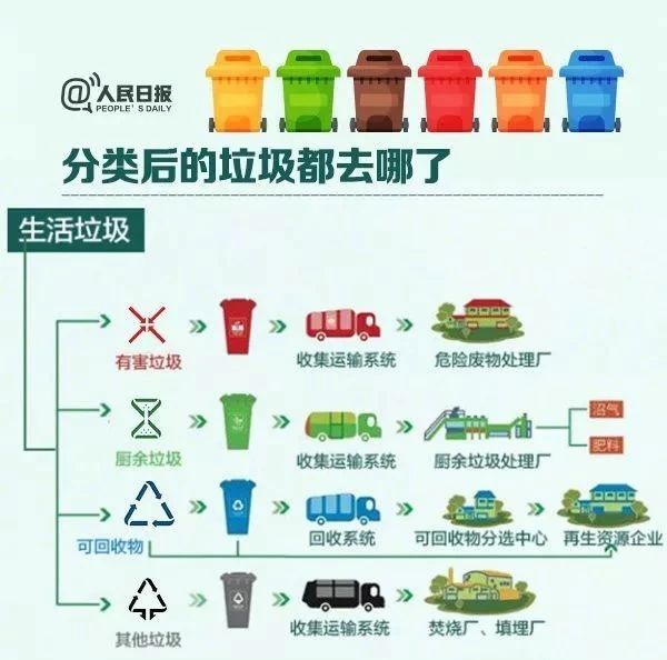 青岛喜提垃圾分类重点城市!下月实施!统一标准