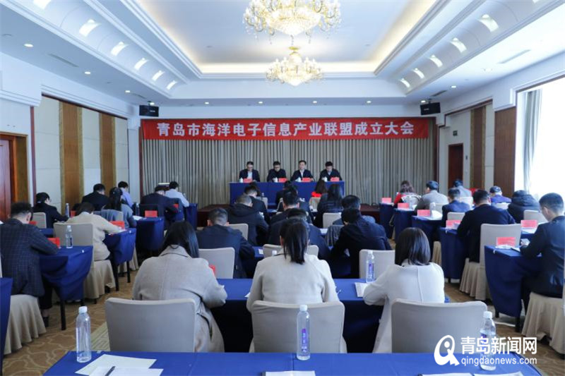 青岛市成立海洋电子信息产业联盟 汇聚全市38家单位