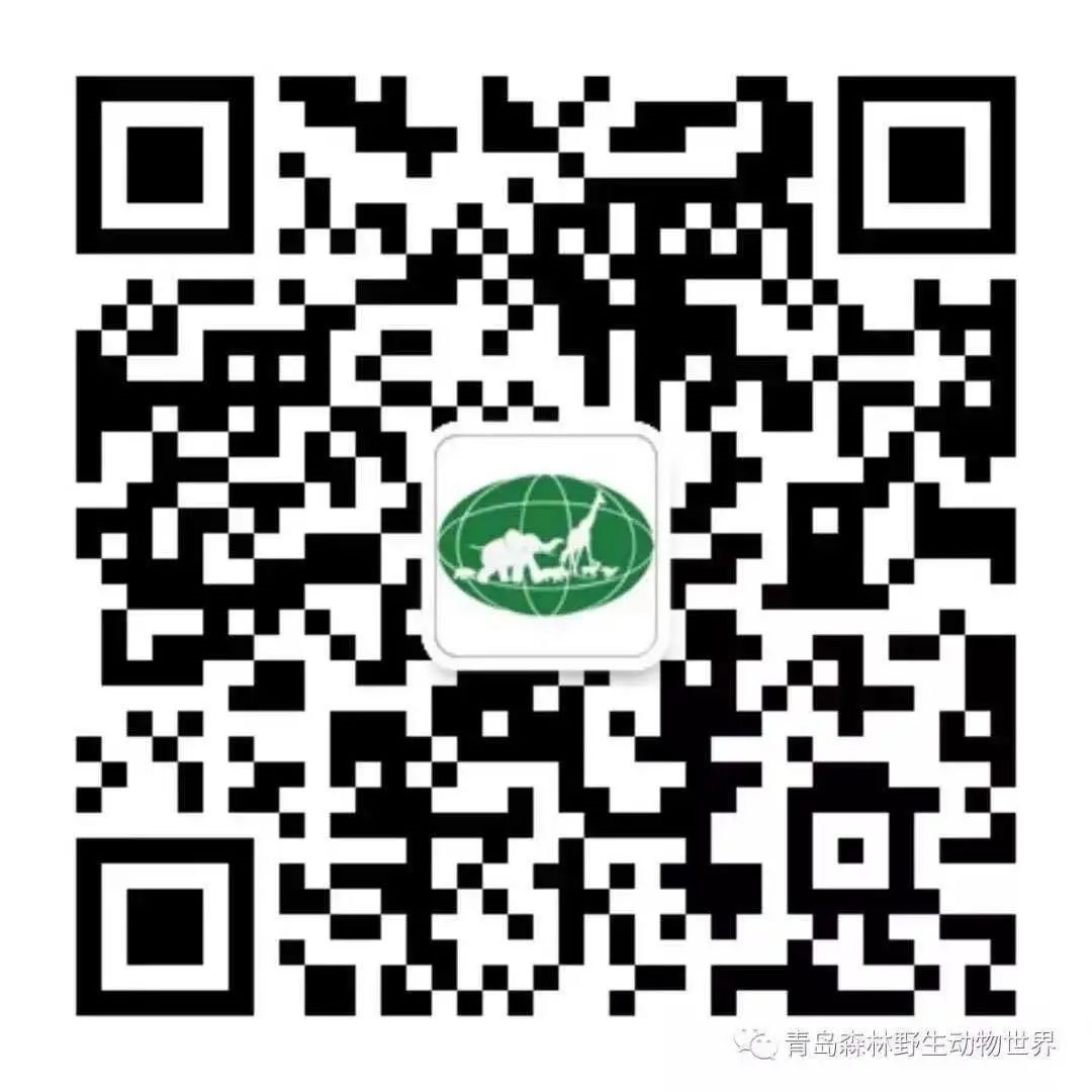 出游速码 青岛主要景区预约方式都在这里