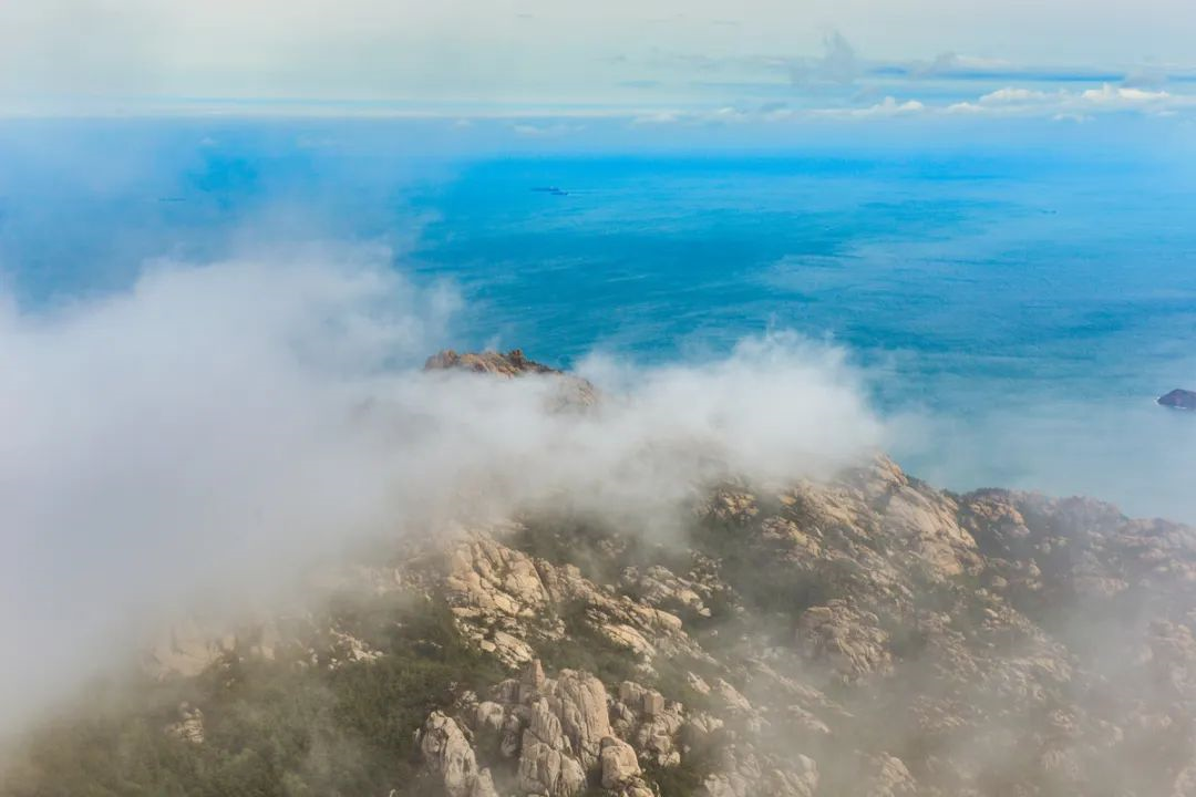 出游速码 青岛主要景区预约方式都在这里