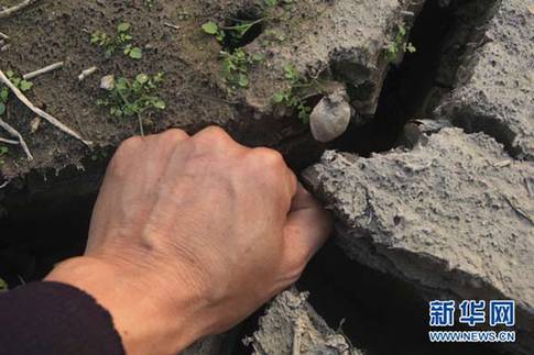 江西省湖口县境内鄱阳湖湖滩上干涸的裂缝中可以放进一只成年人的拳头（12月10日摄）。新华社发（张俊 摄）