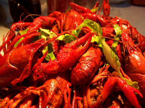 微话题41:记者小龙虾产地探秘:吃粪便消毒剂长