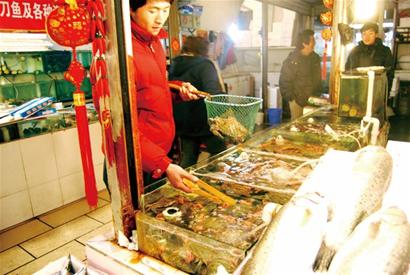 青岛海鲜价格一天一涨 需求大捕捞量少成诱因