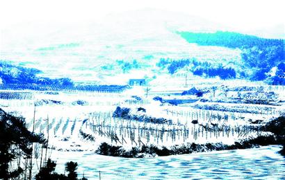 青岛龙年首雪连下20小时气势足 49根碘化银助增雪
