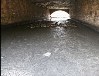 济南达利的污水排出后形成的大片漂浮物。