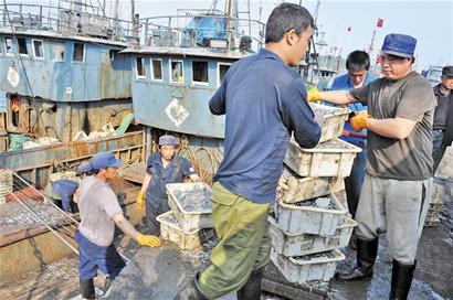 6月1日起青岛全面休渔 海鲜价格猛涨