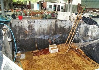 数十平方米的大池子，黑心商家用工业柠檬酸泡出35吨金针菇