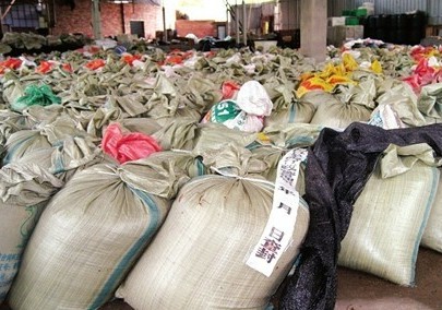 600多袋已加工好的金针菇被当场查封