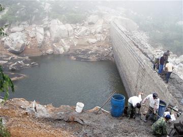 青岛两月降水仅16.5毫米 郊区作物枯死山区饮水难