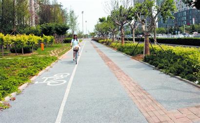 海尔路自行车道部分开放 宽仅1.2米两车难并行