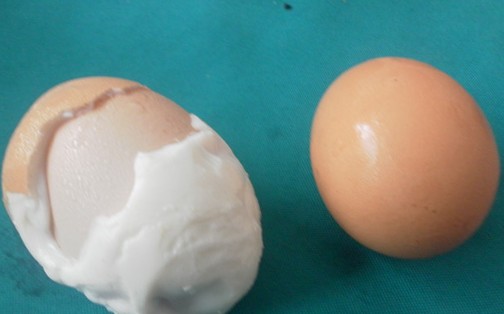 母鸡下出罕见蛋中蛋后死亡 专家称变异