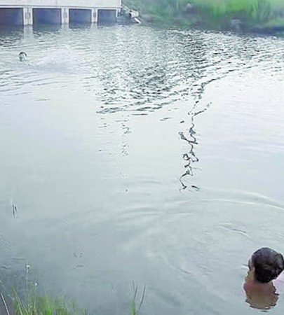 青岛16岁男孩水塘溺亡 堂哥无意间拍整个过程