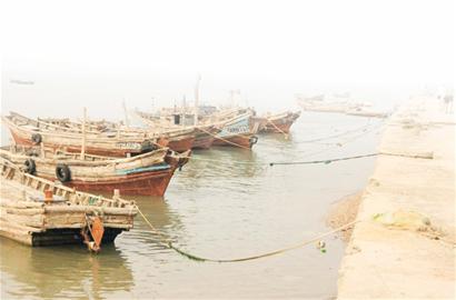 青岛数千渔船明日提前解禁出海 市民将尝到鲜海货