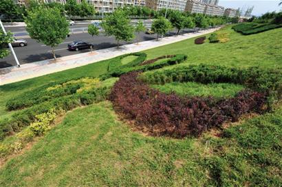 青岛新建住宅绿地不得低于30% 10大植物库供选择