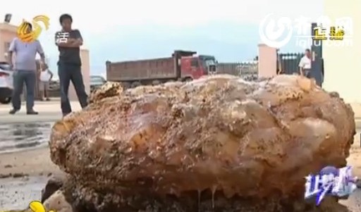 青岛河道淤泥现巨型怪物 有人猜测是太岁