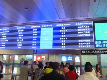 青岛机场55架次航班被迫取消