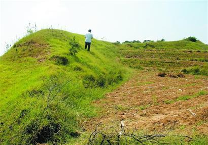 青岛2400岁齐长城开修 翻越150座山土中含糯米浆