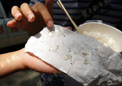 武汉工程大学一碗米饭 吃出20多只死虫子