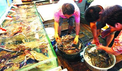 青岛今年大闸蟹更鲜美 养殖户喂足青鱼蛤蜊顶盖儿肥