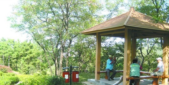 青岛新扩建百余处公园游园 市民有后花园