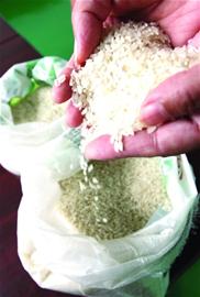 蓝村大米消失30年重回餐桌 13.8元1斤