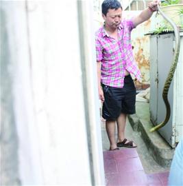 陈先生向记者展示捕到的大蛇。