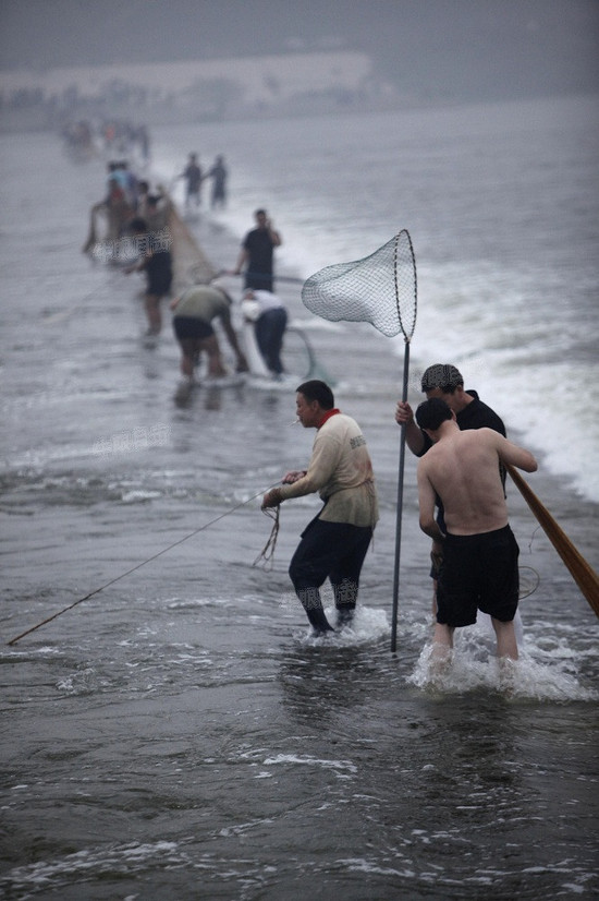 洛河水涨 洛阳市民集体捞鱼