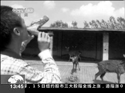 央视称“游客在南京排队喝鹿血”系假新闻