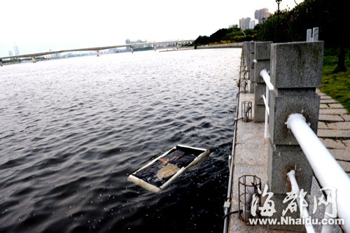 闽江公园南园沿线，闽江混杂污水，漂着垃圾，散发出腥臭。