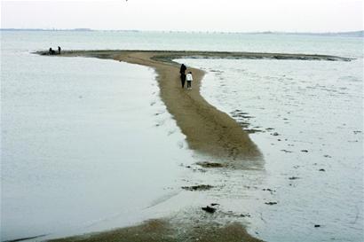 青岛胶州湾岸线终极性保护方案出炉