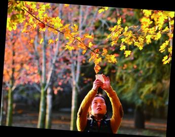 青岛正是赏秋好时节:山明水净夜来霜 数树深红出浅黄